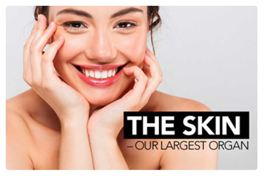 Did you know your Skin is the Largest Organ?