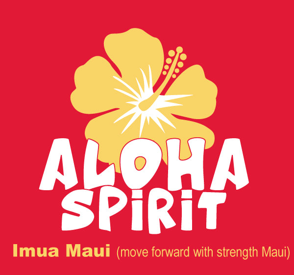Maui Fire Victims Donation